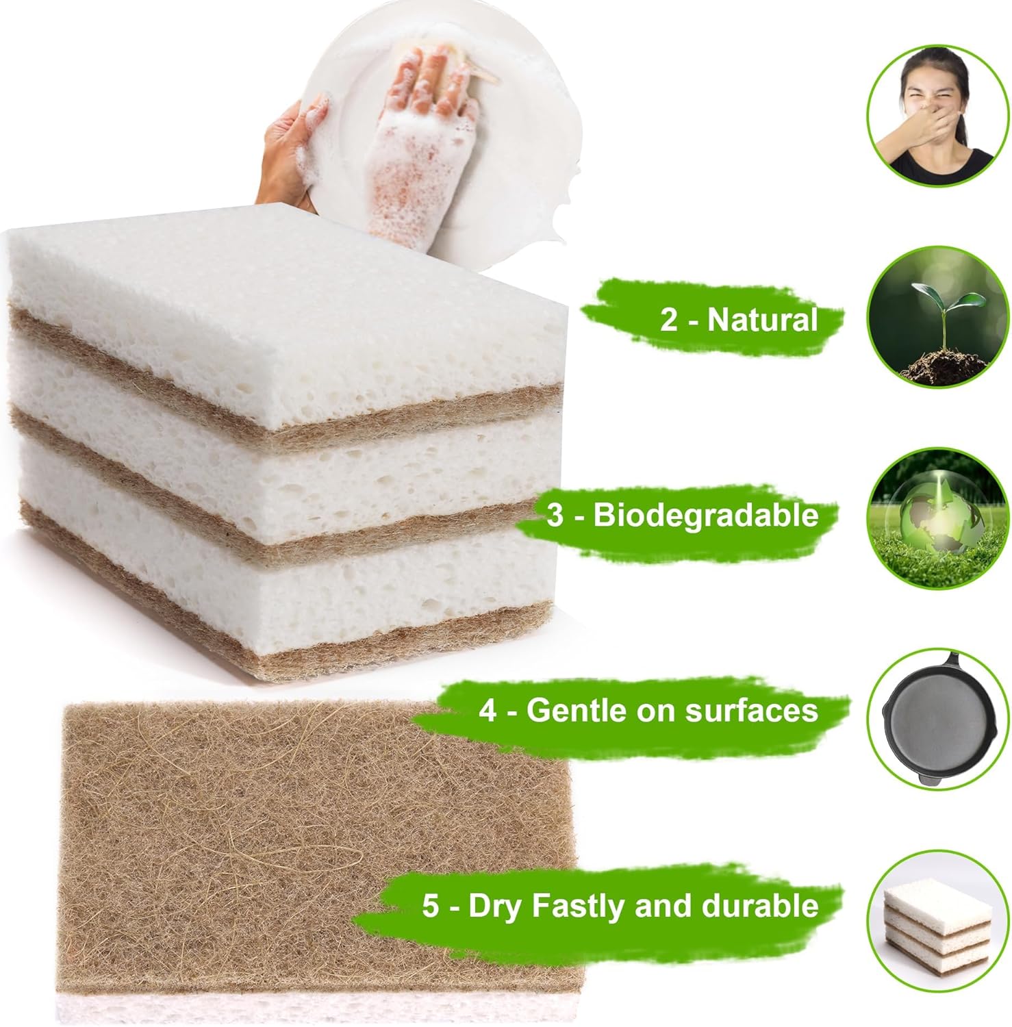 Natural Sponges for Dishes 12 Pack - Keep Soap Biodegradable Kitchen Sponge Compostable Coconut Scrubber - Eco Friendly Cleaning Sponges - Image 2